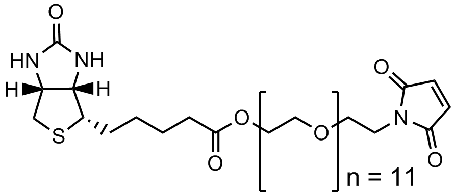 馬來酰亞胺十一聚乙二醇生物素酯