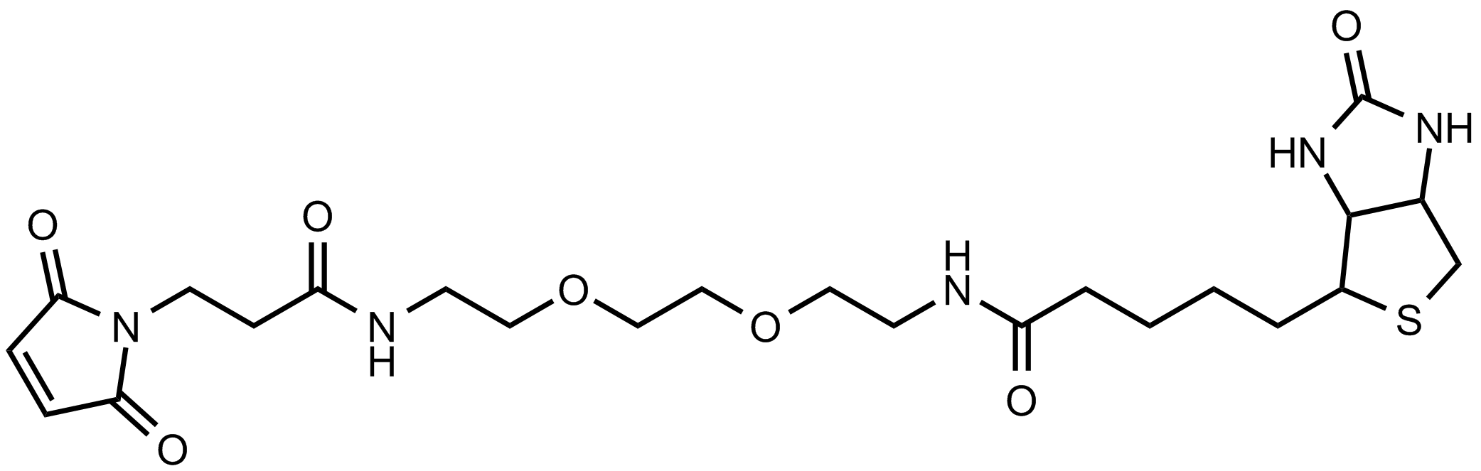 生物素二聚乙二醇馬來酰亞胺